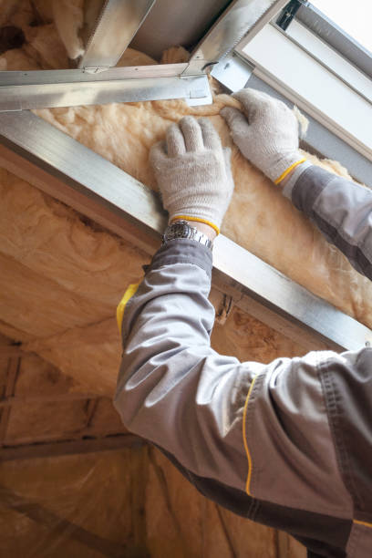 Best Types of Insulation in Manana, HI