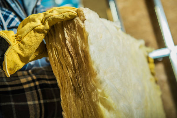 Best Residential Insulation in Manana, HI