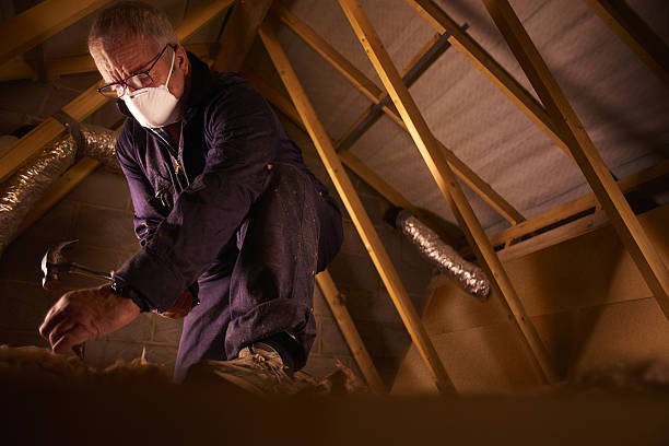 Best Insulation Materials and Products in Manana, HI